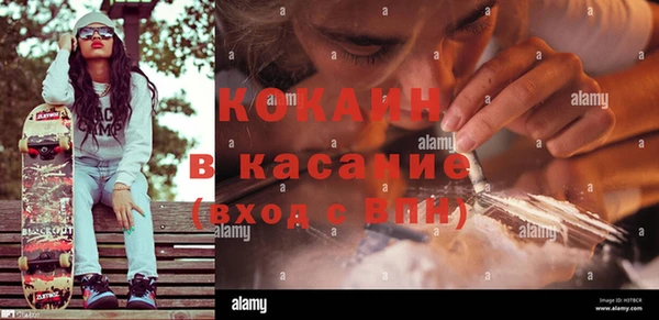 индика Алексеевка