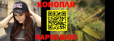 крисы Кунгур