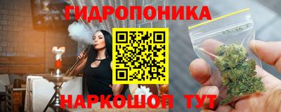 крисы Кунгур