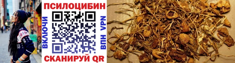 Псилоцибиновые грибы ЛСД  Татарск 