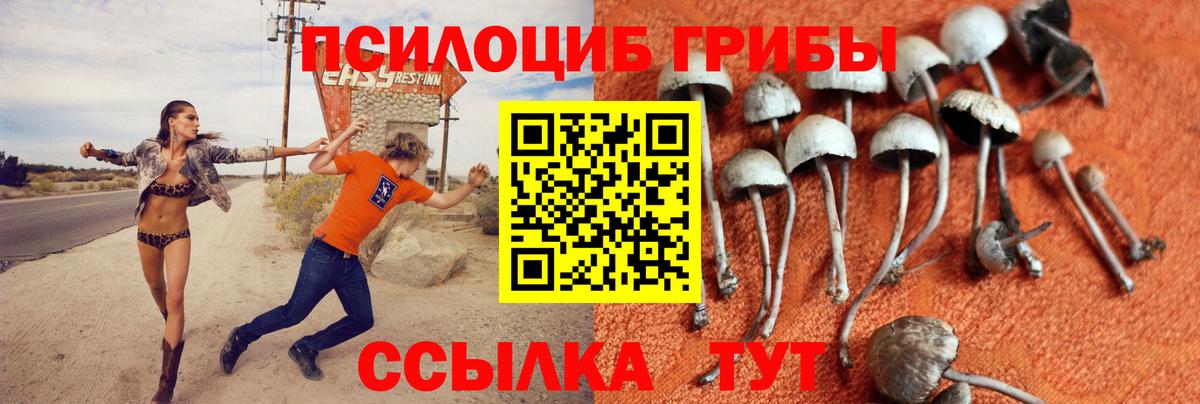 Галлюциногенные грибы Magic Shrooms Татарск
