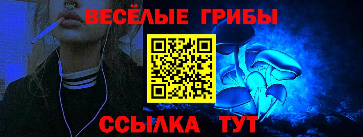 Галлюциногенные грибы Magic Shrooms  закладка  Татарск  Вход с VPN 
